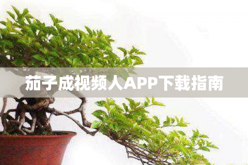 茄子成视频人APP下载指南图片
