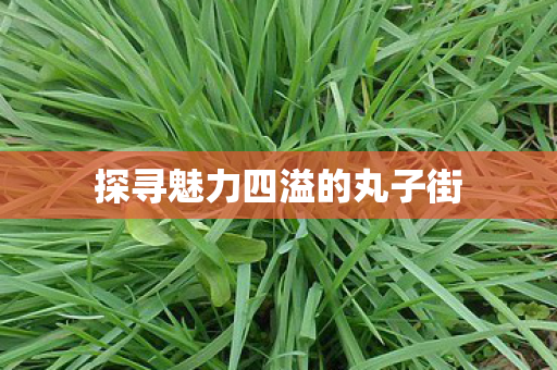 探寻魅力四溢的丸子街图片