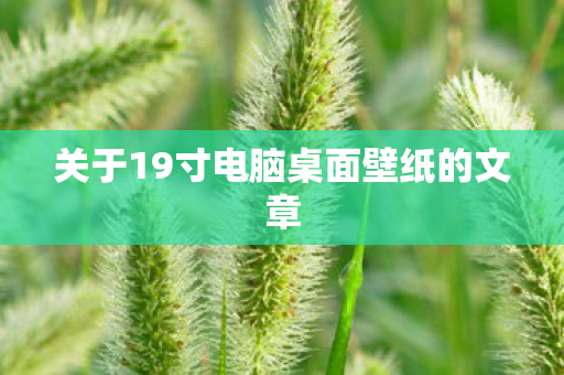 关于19寸电脑桌面壁纸的文章图片