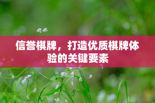 打造优质棋牌体验的关键要素图片