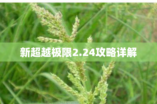 新超越极限2图片