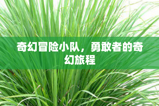 勇敢者的奇幻旅程图片