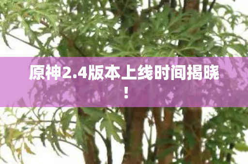 4版本上线时间揭晓图片