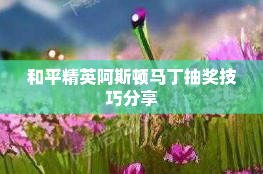和平精英阿斯顿马丁抽奖技巧分享图片