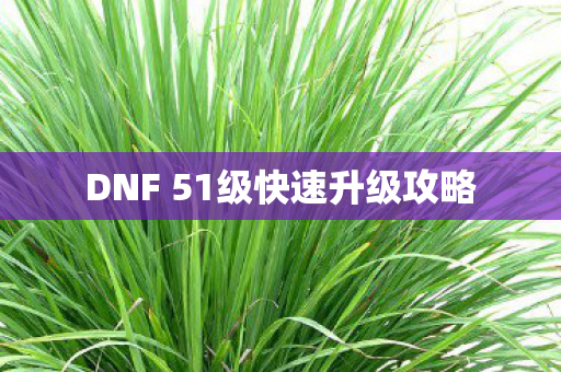 DNF 51级快速升级攻略图片