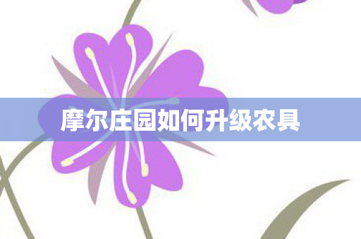 摩尔庄园如何升级农具图片