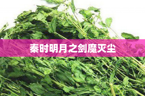秦时明月之剑魔灭尘图片