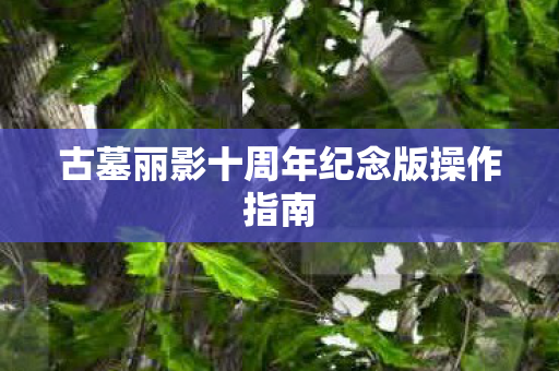 古墓丽影十周年纪念版操作指南图片