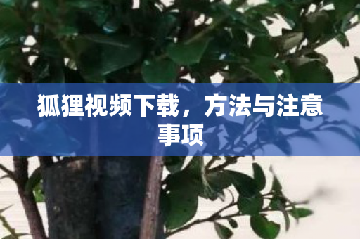 方法与注意事项图片