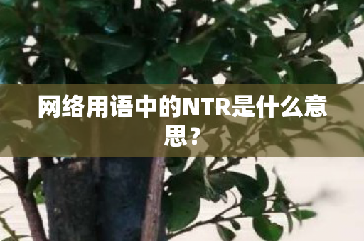 网络用语中的NTR是什么意思图片