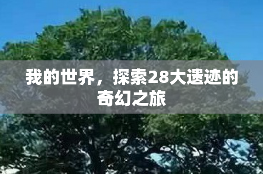 探索28大遗迹的奇幻之旅图片