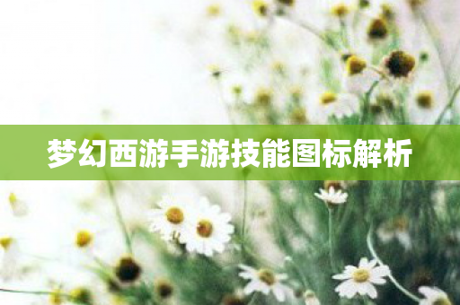 梦幻西游手游技能图标解析图片