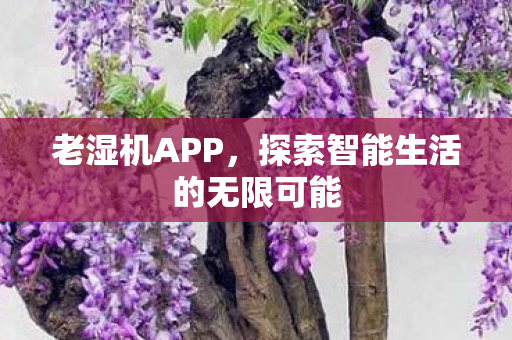 探索智能生活的无限可能图片