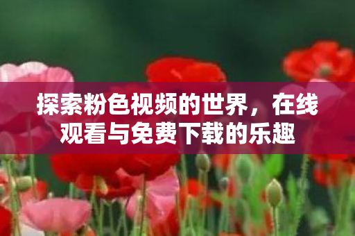 在线观看与免费下载的乐趣图片