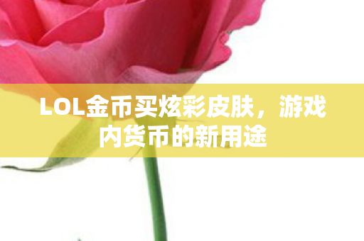 LOL金币买炫彩皮肤图片