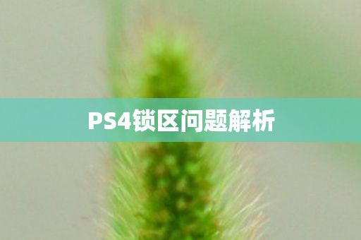 PS4锁区问题解析图片