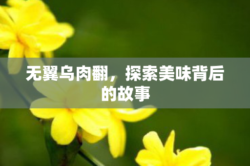 探索美味背后的故事图片