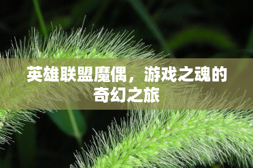游戏之魂的奇幻之旅图片