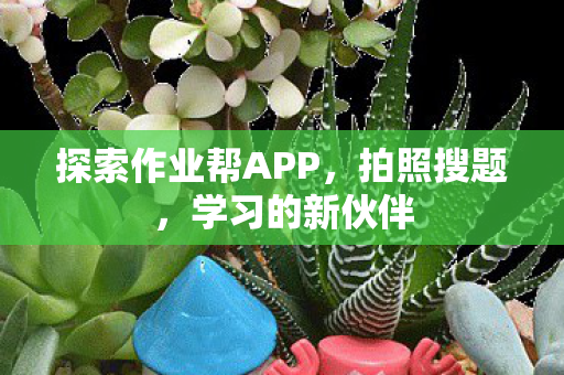 探索作业帮APP图片