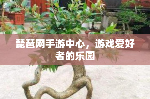 游戏爱好者的乐园图片