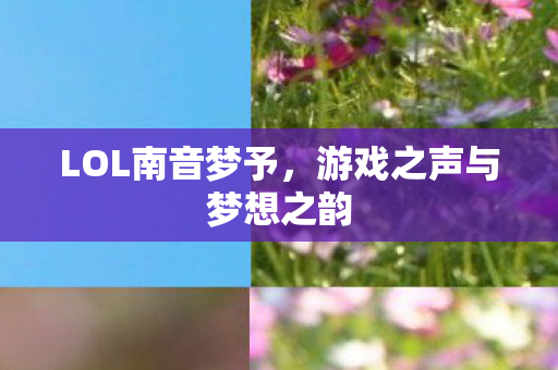 游戏之声与梦想之韵图片
