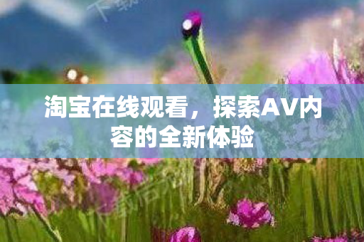 探索AV内容的全新体验图片