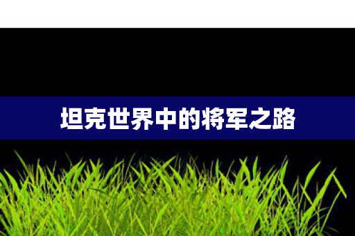 坦克世界中的将军之路图片