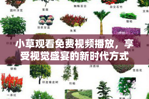 享受视觉盛宴的新时代方式图片