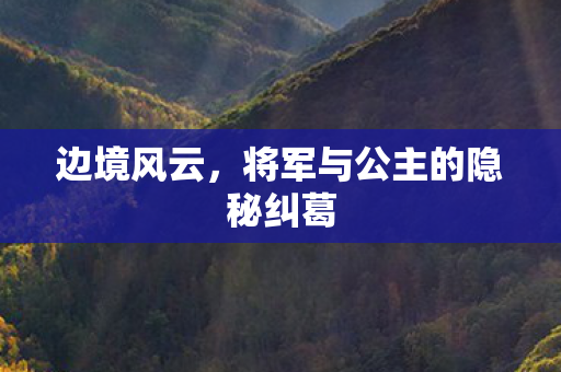 将军与公主的隐秘纠葛图片