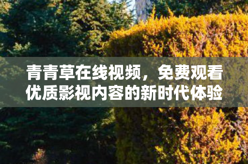 免费观看优质影视内容的新时代体验图片
