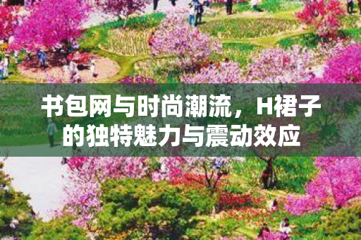 H裙子的独特魅力与震动效应图片