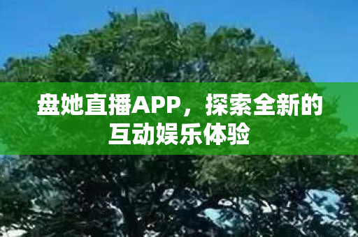 探索全新的互动娱乐体验图片