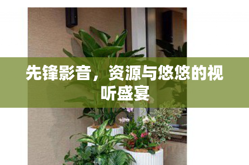 资源与悠悠的视听盛宴图片
