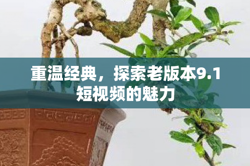1短视频的魅力图片