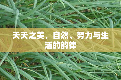 努力与生活的韵律图片