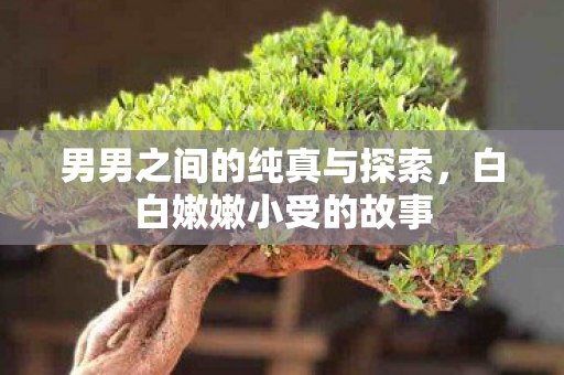 男男之间的纯真与探索图片
