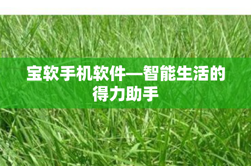 智能生活的得力助手图片