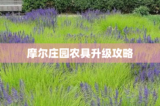 摩尔庄园农具升级攻略图片