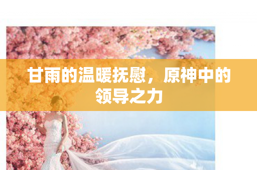 原神中的领导之力图片