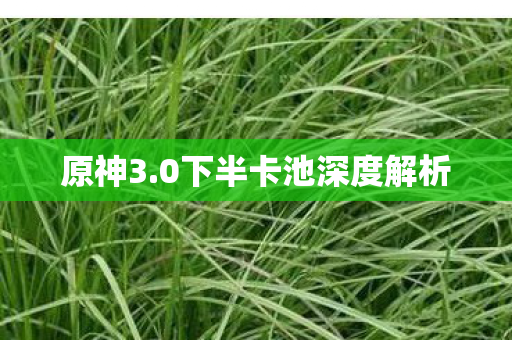 0下半卡池深度解析图片