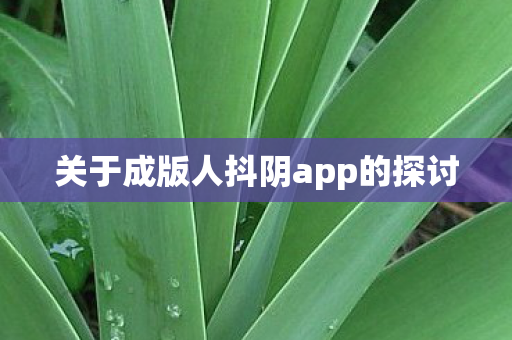 关于成版人抖阴app的探讨图片