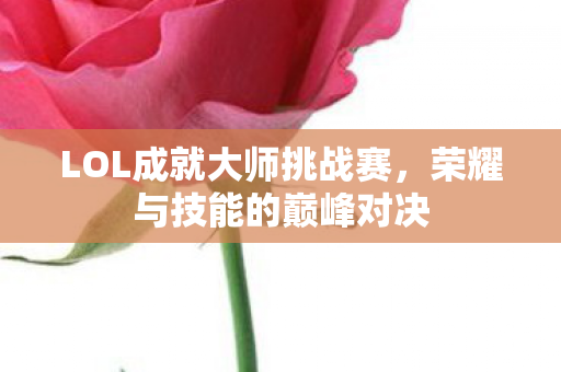 LOL成就大师挑战赛图片