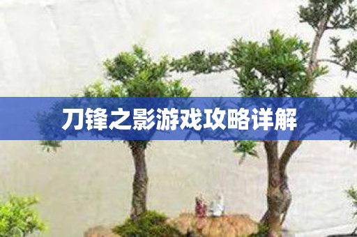 刀锋之影游戏攻略详解图片