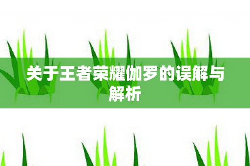 关于王者荣耀伽罗的误解与解析图片