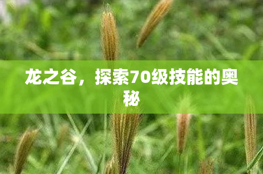 探索70级技能的奥秘图片