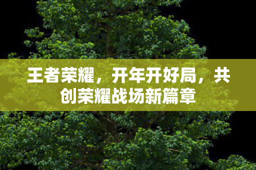共创荣耀战场新篇章图片