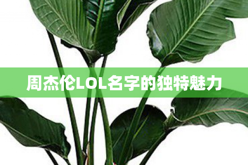 周杰伦LOL名字的独特魅力图片