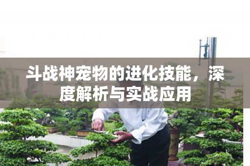 斗战神宠物的进化技能图片