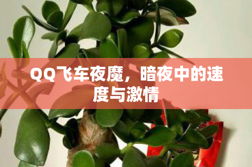 暗夜中的速度与激情图片