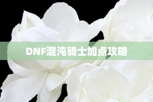 DNF混沌骑士加点攻略图片